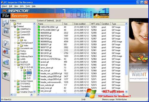 स्क्रीनशॉट PC Inspector File Recovery Windows 7