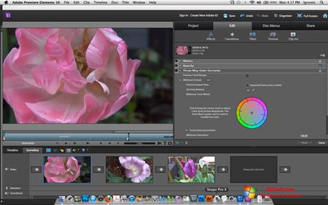 स्क्रीनशॉट Adobe Premiere Elements Windows 7