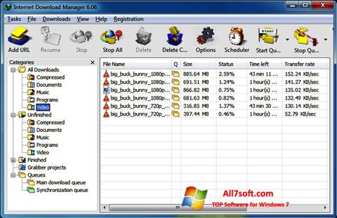 स्क्रीनशॉट Internet Download Manager Windows 7