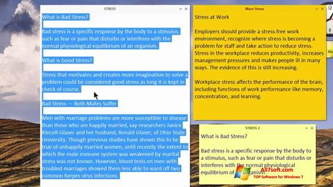 स्क्रीनशॉट Simple Sticky Notes Windows 7