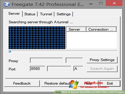 स्क्रीनशॉट Freegate Windows 7