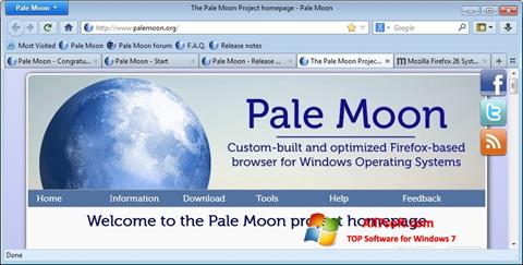 स्क्रीनशॉट Pale Moon Windows 7